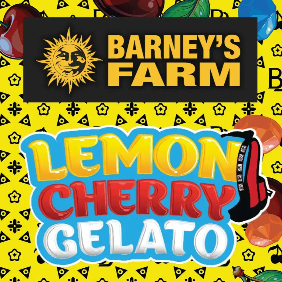 Das Bild ist eine Werbung für die Seeds "Lemon Cherry Gelato" der Marke Barneys Farm. Der Hintergrund ist gelb mit schwarzem Muster. Ganz oben ist das Logo von Barneys Farm auf einem schwarzen Rechteck. Die Schrift ist gelb. Darunter ist die Aufschrift "Lemon Cherry Gelato" in drei Zeilen aufgeteilt: die erste Zeile ist gelb, die zweite rot und die dritte weiß.