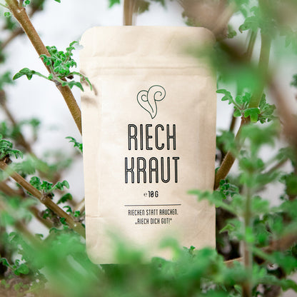 MAGU Riechkraut 10 g