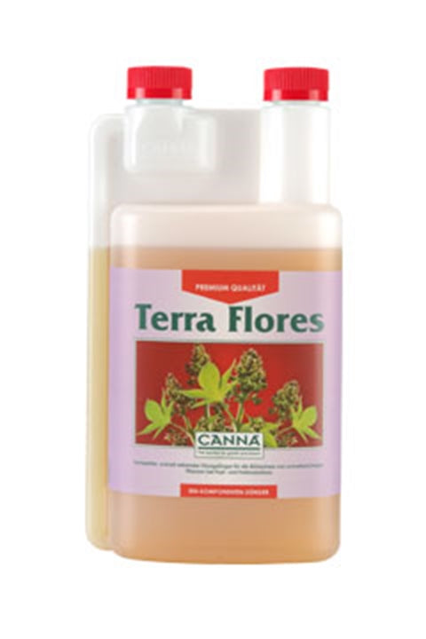 Canna Terra Flores