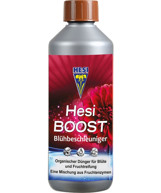 Hesi Boost