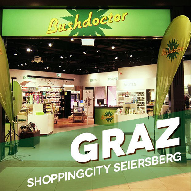 Foto von der Bushdoctor Filiale in Graz, Shopping City Seiersberg. Von draußen in den Shop fotografiert. Über dem Eingang hängt ein leuchtendes Bushdoctor Schild, neben dem Eingang links und rechts sind Beachflags mit dem Bushdoctor Logo.