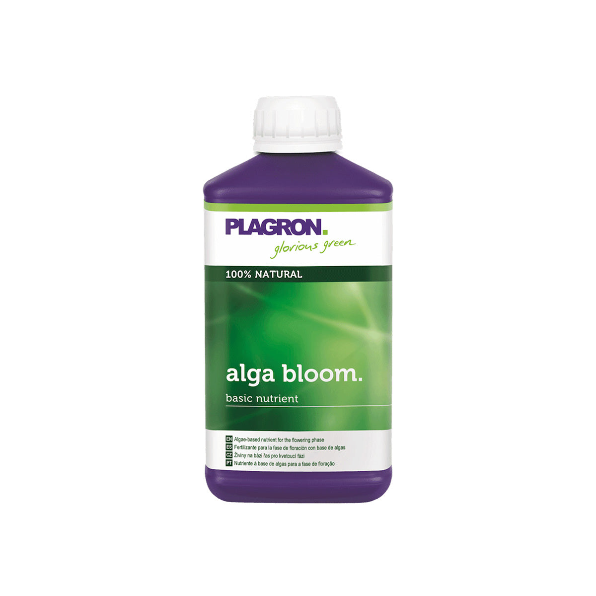 Plagron Alga Bloom Bio-Dünger von der Marke PLAGRON. Eine 500 Milliliter Flasche in der Farbe lila mit einem Produktetikett drauf. Auf einem weißen Hintergrund.