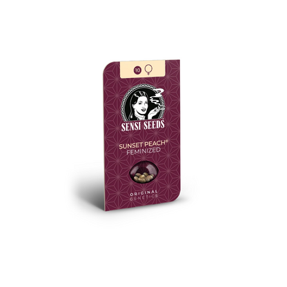 Sensi Seeds Sunset Peach feminisierte Hanfsamen in einer dunkelroten Verpackung mit dem Sensi Seeds Logo oben zentriert, darunter abgebildet Hanfsamen, vor einem weißen Hintergrund.